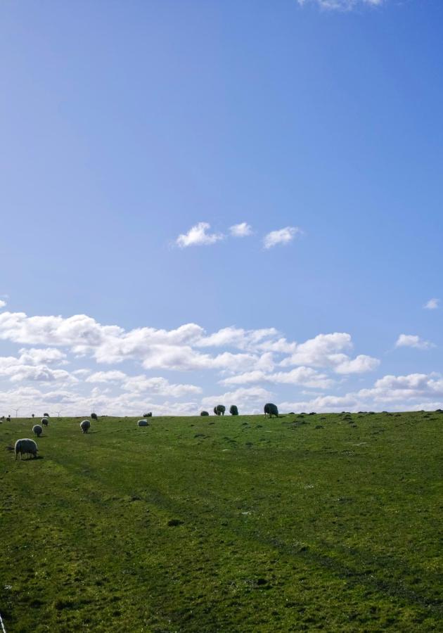 Am Horumertief Schillig Exteriér fotografie